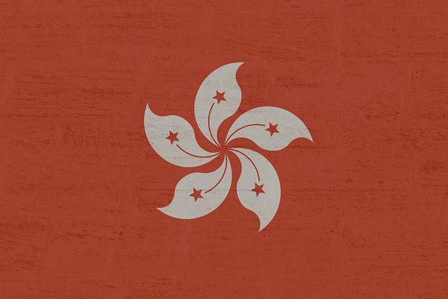 紅色天氣警告：香港實用應對全攻略